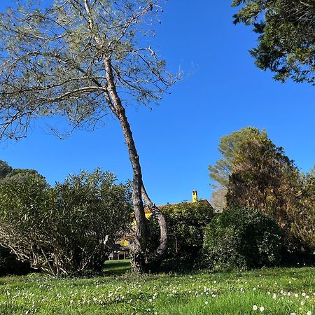 Villa De Miha Valbonne Zewnętrze zdjęcie