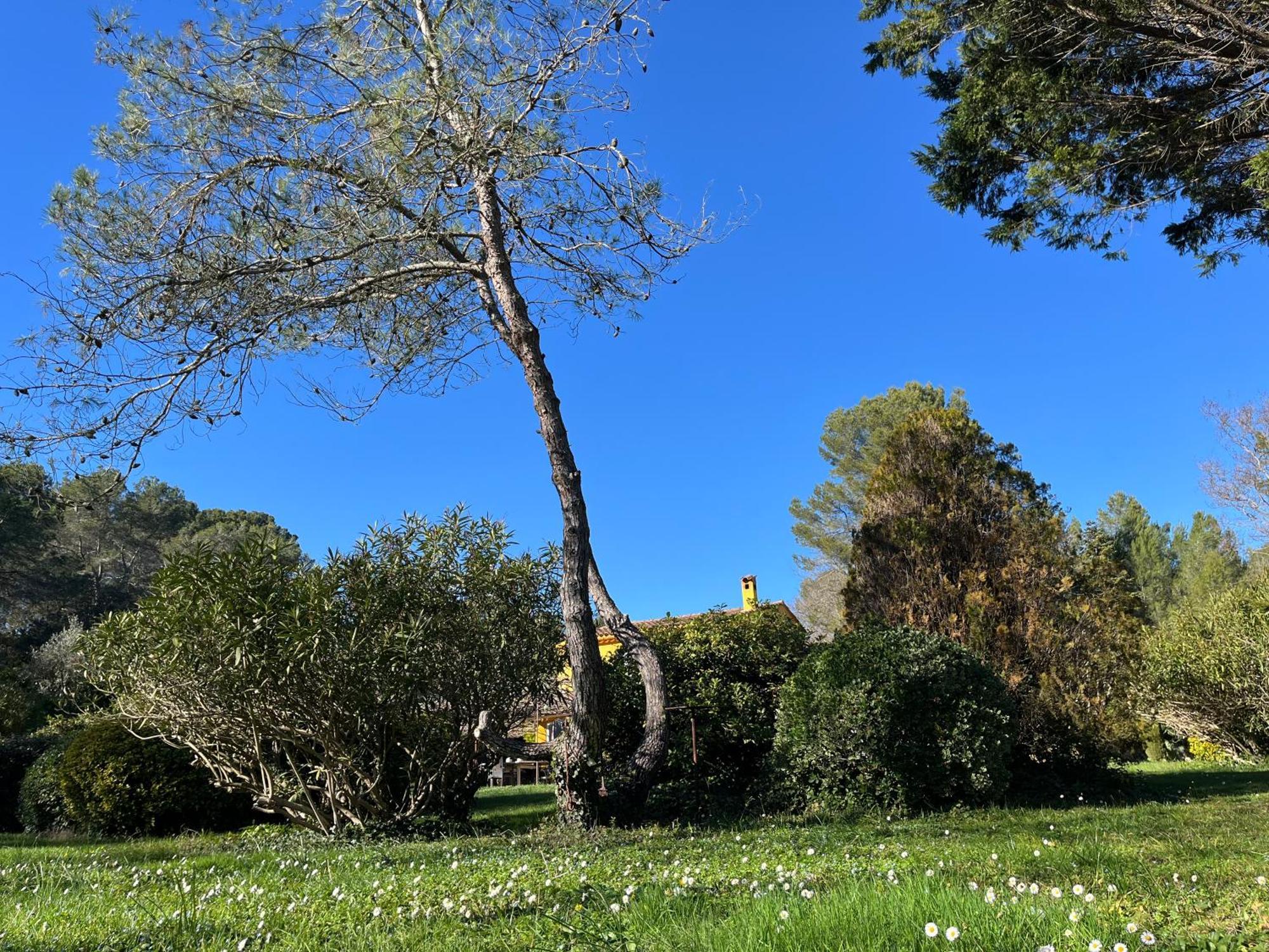 Villa De Miha Valbonne Zewnętrze zdjęcie